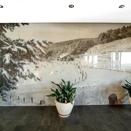 Apartment Duplex Luxury En Zona Alta *